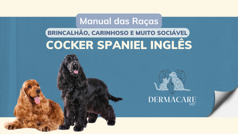 Manual das raças - Cocker Spaniel Inglês